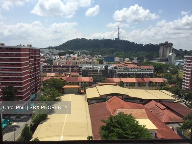 Blk 9 Toh Yi Gardens (Bukit Timah), HDB 5 Rooms #492017331